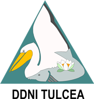 Logo DDNI_TL